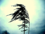 Fotoblog emilybolg