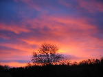 Fotoblog goldstok
