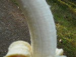 Fotoblog bbllaannkkaaa