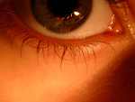 Fotoblog greenpisses