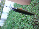 Fotoblog aniitka94