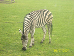 Fotoblog xxxweronika1510