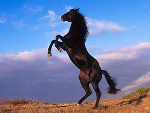 Fotoblog pokreconaxd