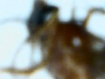 Fotoblog hahasrakemacie
