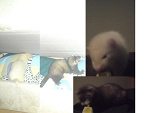 Fotoblog masel18