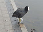 Fotoblog xdmuchaxd