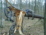 Fotoblog kaczucha102
