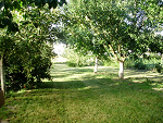 Fotoblog necus2