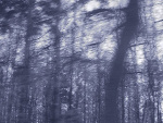 Fotoblog werosia111000