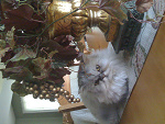 Fotoblog basiaq1