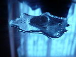 Fotoblog swiatinaczejx333