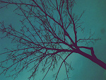 Fotoblog madziam95