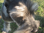 Fotoblog msmartaxd