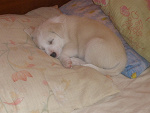 Fotoblog friends8