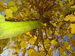 Fotoblog slodziutkifotograf