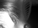 Fotoblog milx33