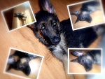 Fotoblog patrycja936