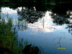 Fotoblog dor92