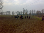 Fotoblog horse1993