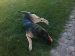 Fotoblog kiniaaxx97