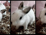 Fotoblog xxxloolaxxx