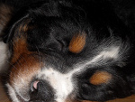 Fotoblog xxxxklaudusiaxxxx