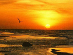 Fotoblog xxxkasiaaaxxx