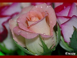 Fotoblog bogusia95