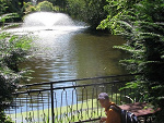 Fotoblog feellix