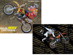 Fotoblog radziool