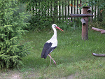 Fotoblog golhardzik