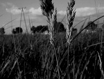 Fotoblog rozwianerudewlosy