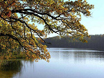 Fotoblog geh1bleib