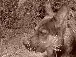 Fotoblog urkaburka