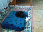 Fotoblog jessicahannover
