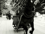 Fotoblog bonchoo