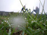 Fotoblog pedxgraff