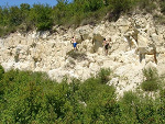 Fotoblog xegipcjaninx