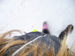 Fotoblog milas11