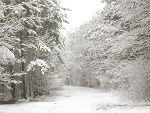 Fotoblog 6434561