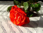 Fotoblog angello26