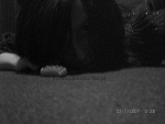 Fotoblog nusiaczekxxx