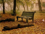 Fotoblog hurth