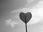 Fotoblog goniaxrck