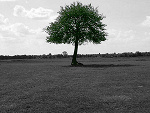 Fotoblog disturbmen