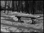 Fotoblog gershwin1991