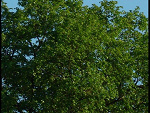 Fotoblog colorfuul