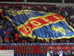 Fotoblog 1kikunia1