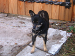 Fotoblog cczarek