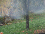 Fotoblog nobodyperfect78